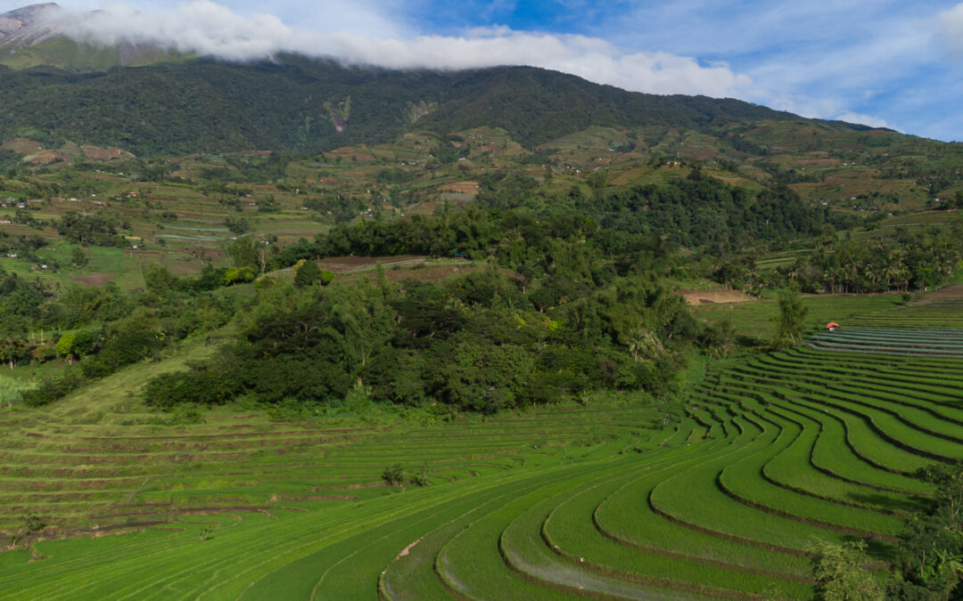 Central Visayas has its own Rice Terraces!