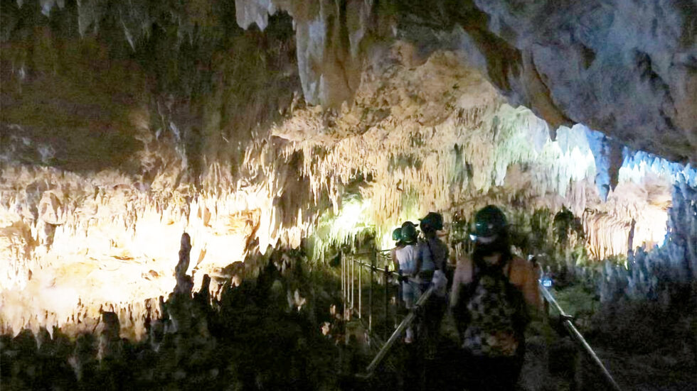 Pandalihan & Panligawan Caves | Visit Central Visayas